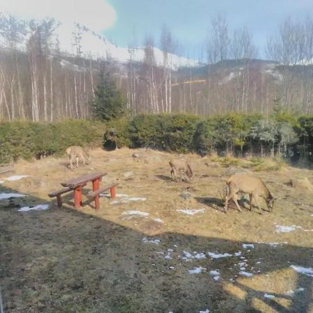 Villa Ester Tatranská Lomnica Buitenkant foto
